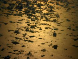 Pacific Sunset at 20,000 ft. This photo was taken about 2... by Mathew Cook 